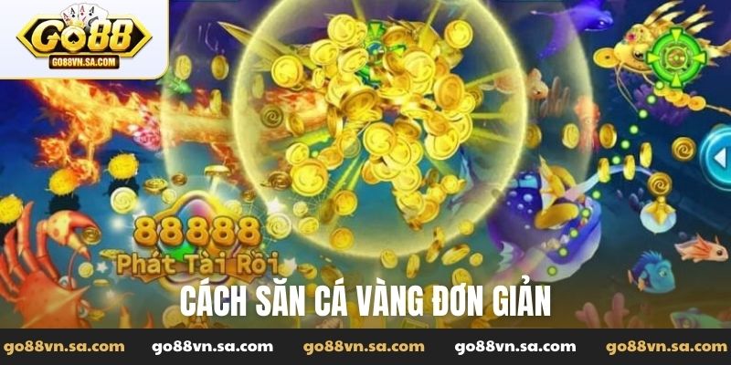 Cách săn cá vàng đơn giản