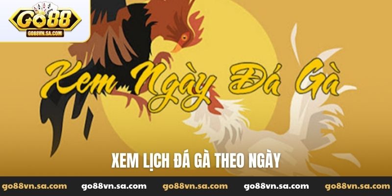 Xem lịch đá gà theo ngày